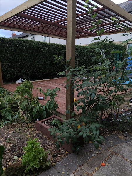 IMG 20220725 193234